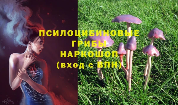 спиды Алексин