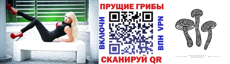 omg маркетплейс  Анжеро-Судженск  Галлюциногенные грибы Magic Shrooms 