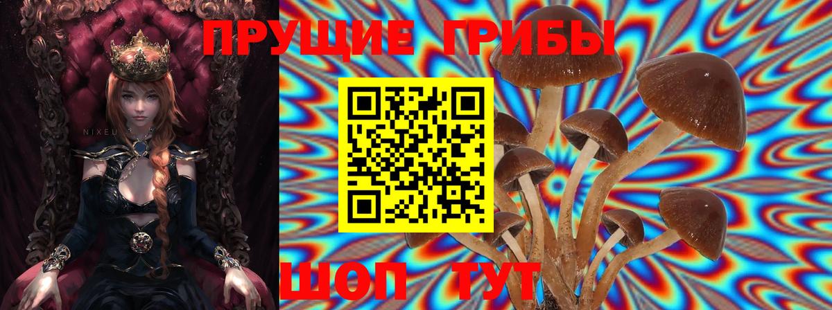 Галлюциногенные грибы Magic Shrooms Анжеро-Судженск